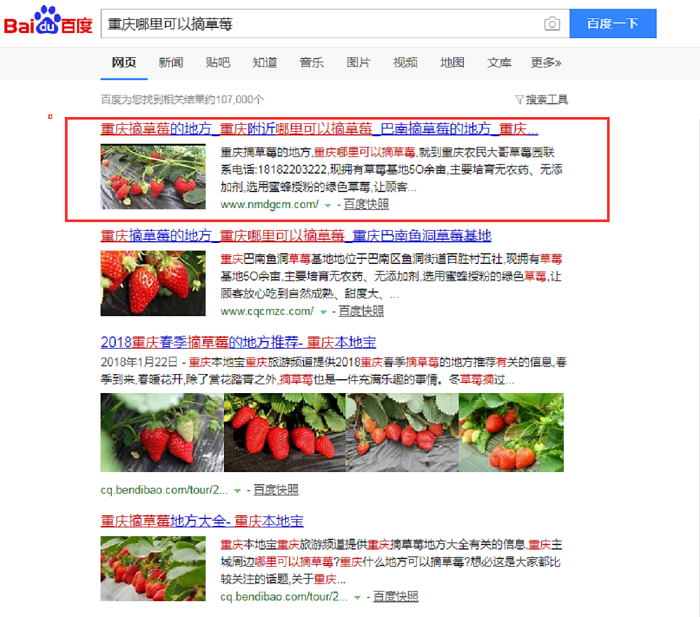 重庆农民大哥草莓网络推广案例