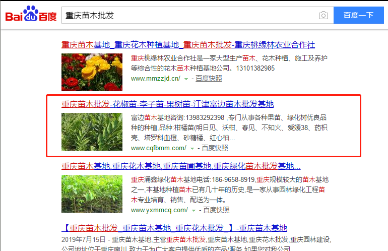 苗木行业网络推广案例